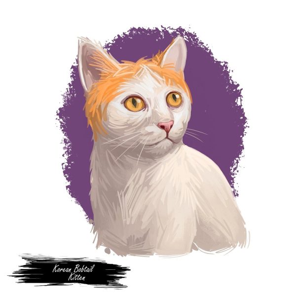 Korean Bobtail Kitten Portrait Fabric Panel Fashion