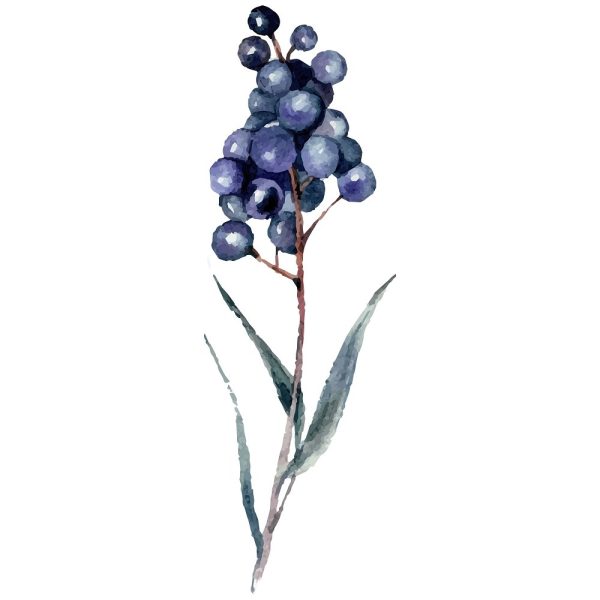 Privet Berry Bushell Fabric Panel Online