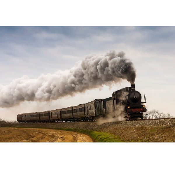 Realistic Steam Train in Countryside Fabric Panel Hot on Sale