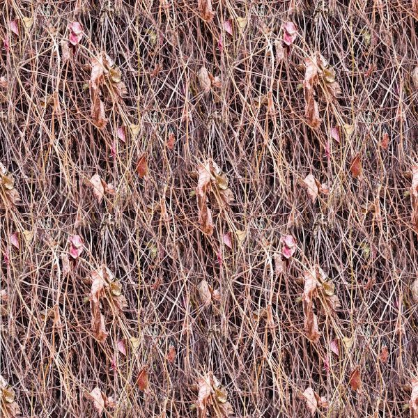 Realistic Grape Vine & Leaves Fabric Online now