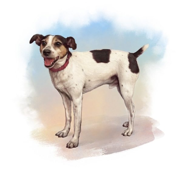 Short Haired Terrier Portrait Fabric Panel Online now