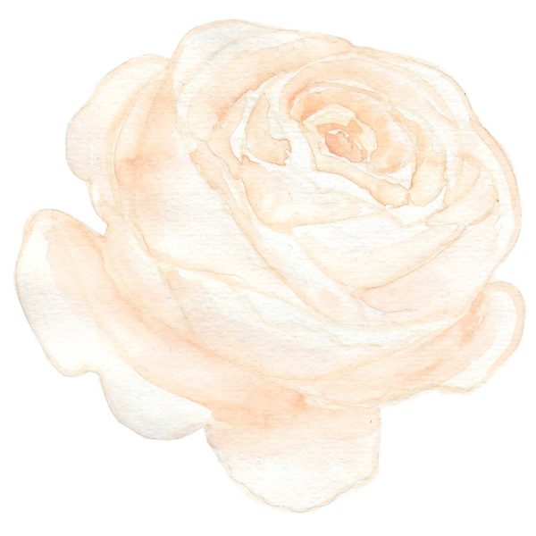Peach Romance Flower Fabric Panel on Sale