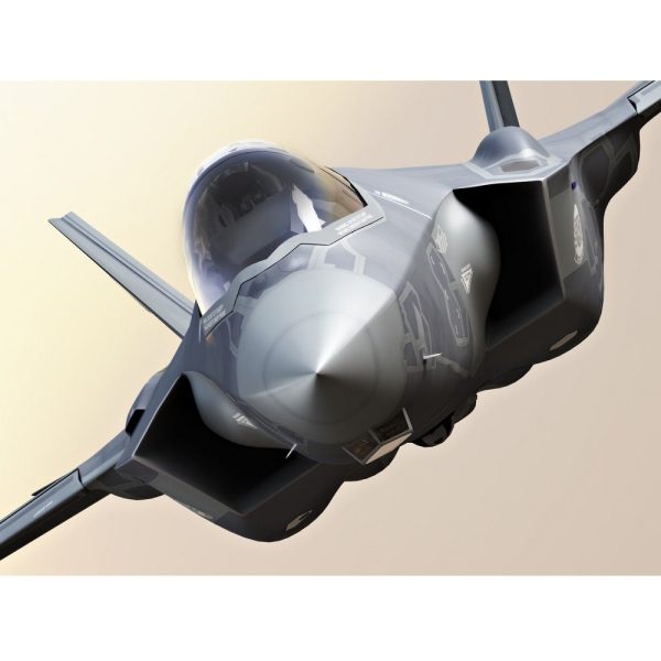 Realistic Close-Up F35 Fighter Jet Fabric Panel Discount