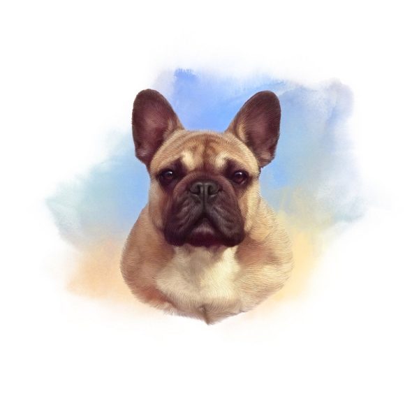 Tan French Bulldog Portrait Fabric Panel Cheap