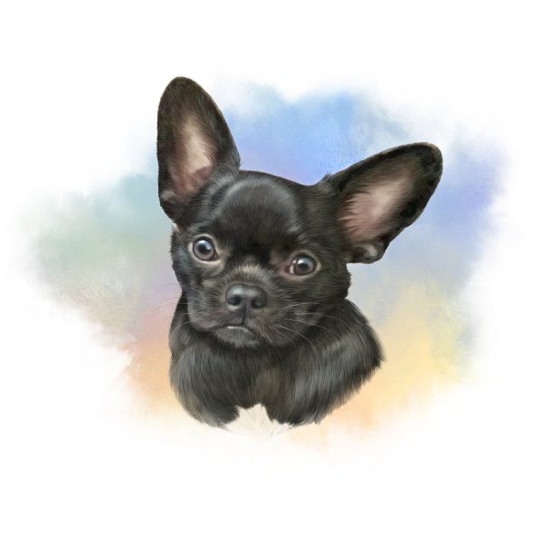 Short-Haired Chihuahua Dog Portrait Fabric Panel For Cheap
